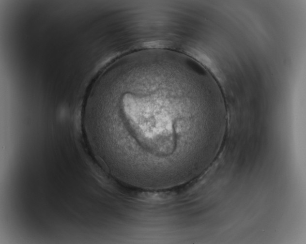 X0000093130297200710031357