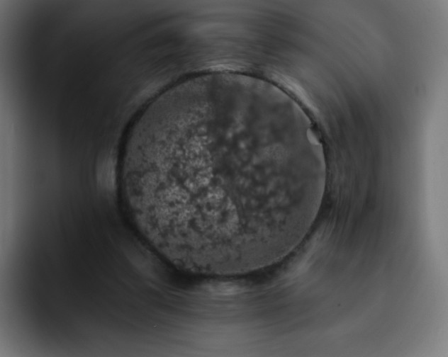 X0000093130299200710031357