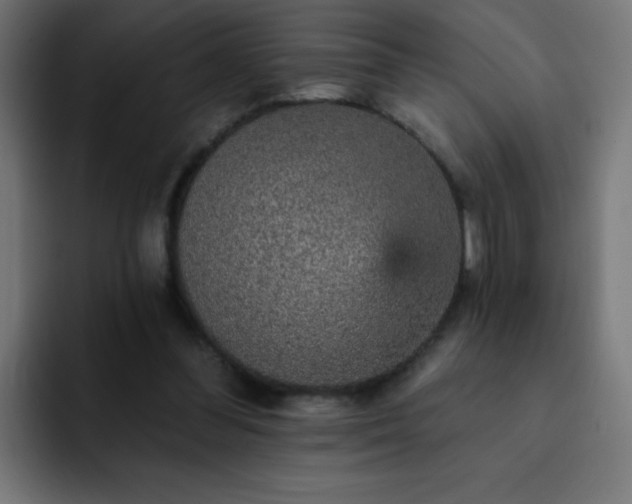 X0000093130300200710031357