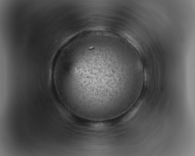 X0000093130301200710031357