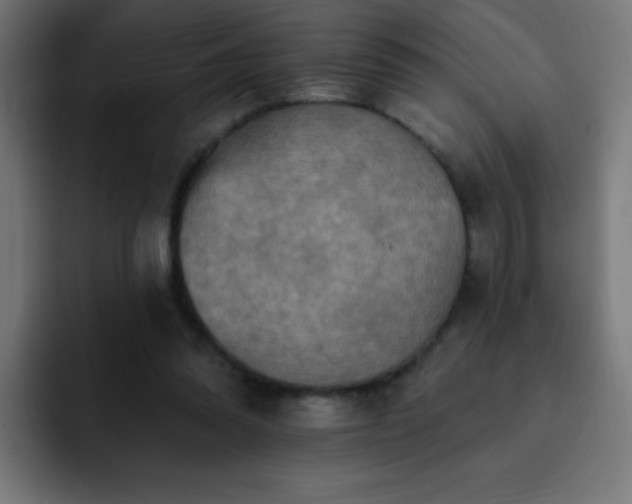 X0000093130302200710031357