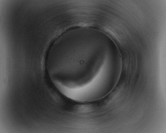 X0000093130303200710031357