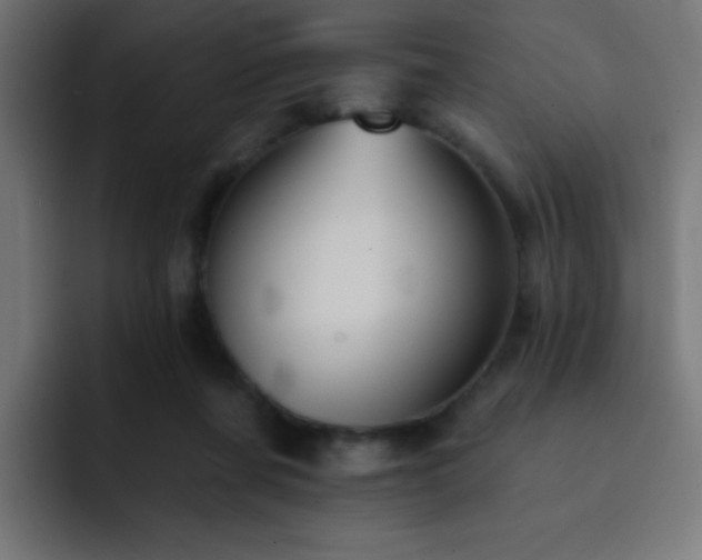 X0000093130311200710031356