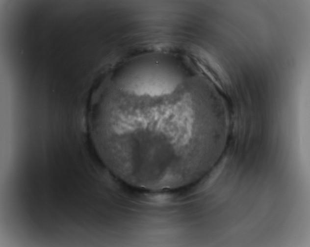 X0000093130313200710031356