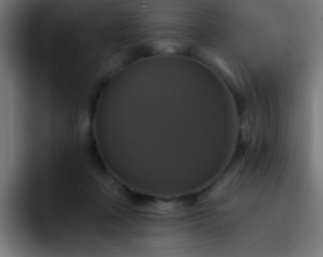 X0000093130314200710031356