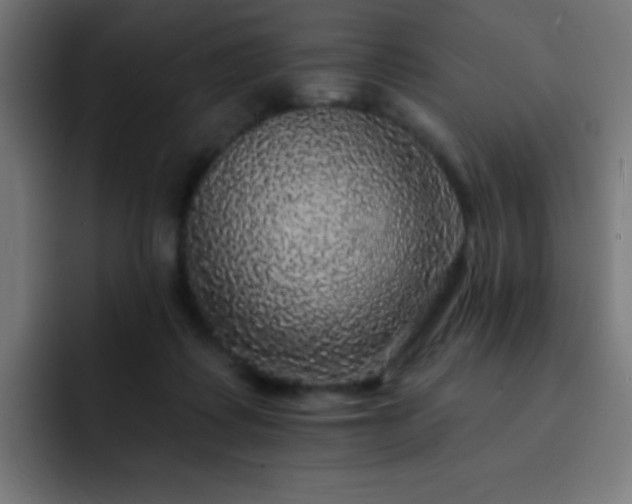X0000093130315200710031356