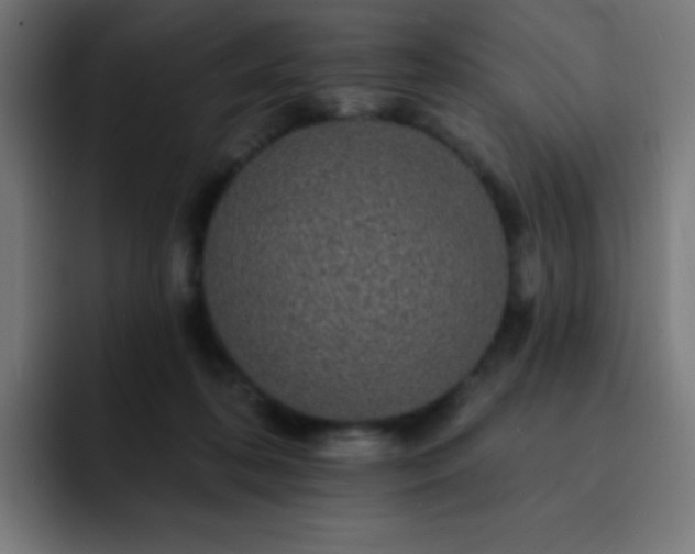 X0000093130316200710031356