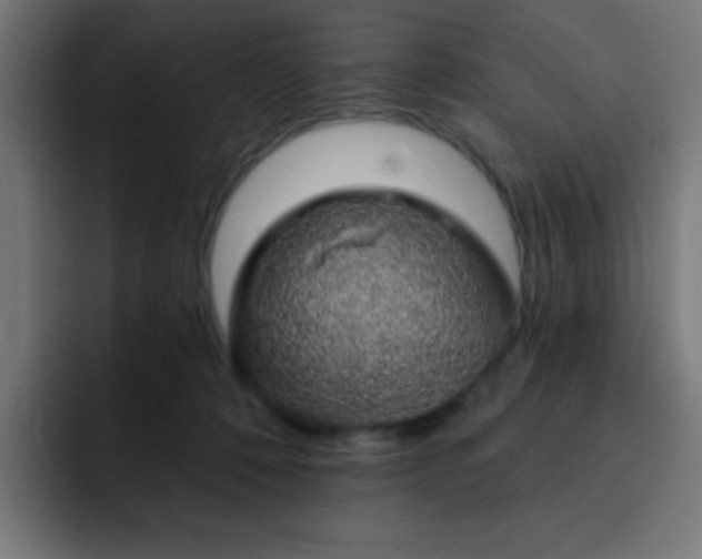 X0000093130320200710031356