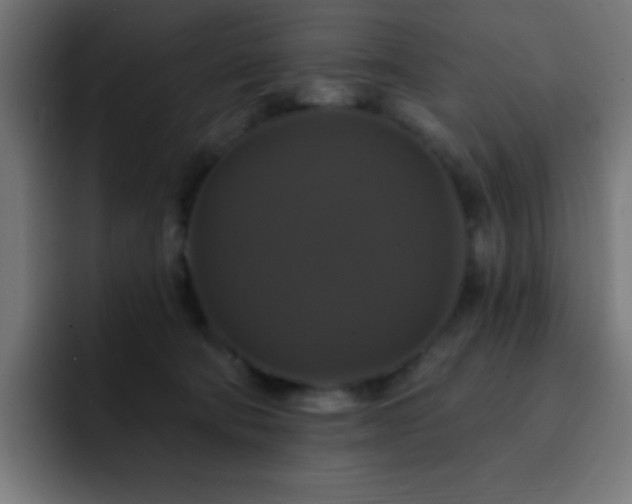 X0000093130322200710031356