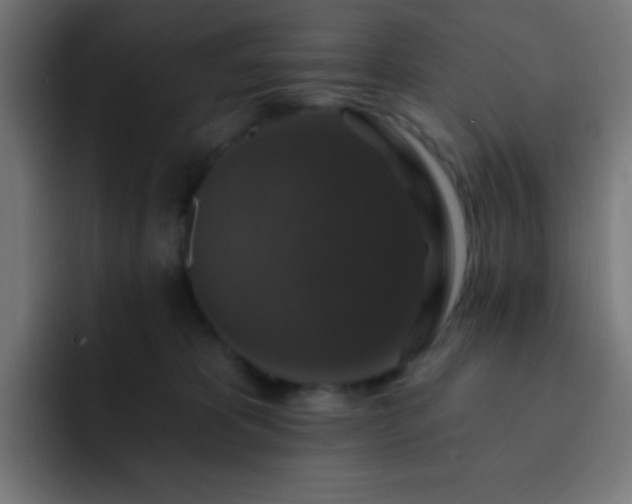 X0000093130325200710031356
