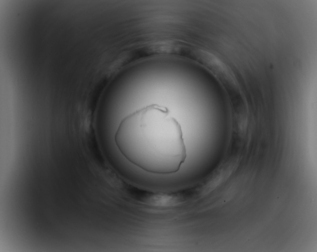 X0000093130326200710031356