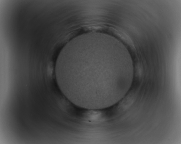 X0000093130328200710031356