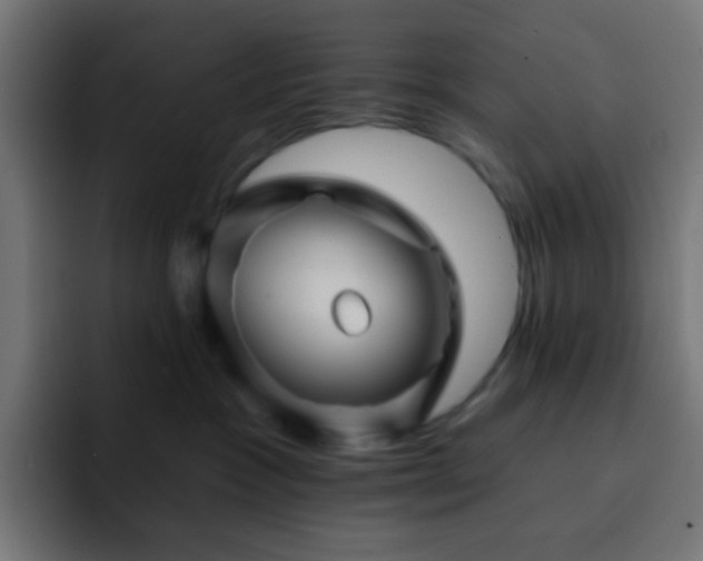 X0000093130333200710031356