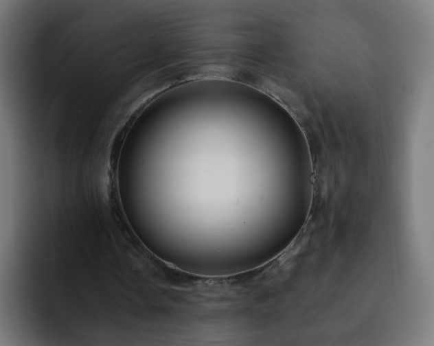X0000093130338200710031356
