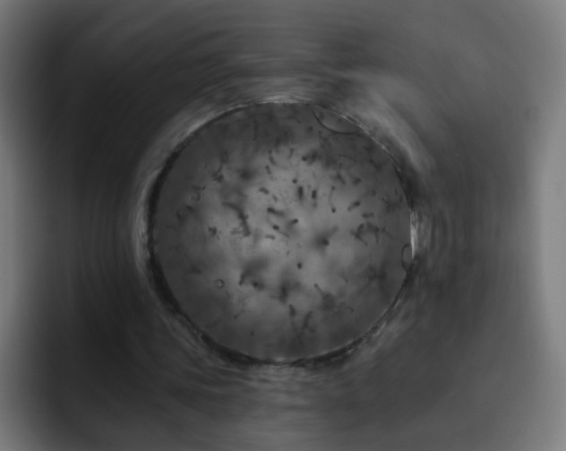X0000093130339200710031356