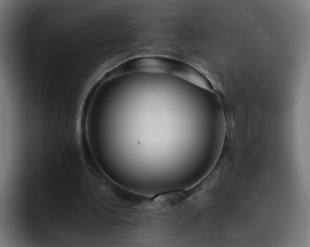 X0000093130340200710031356