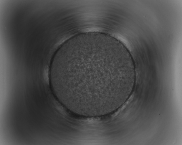 X0000093130345200710031356