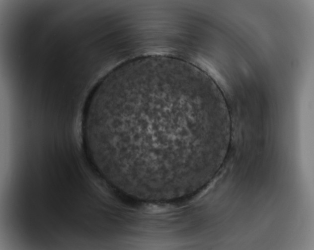 X0000093130346200710031356