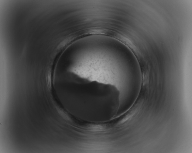 X0000093130349200710031356