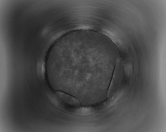 X0000093130350200710031356