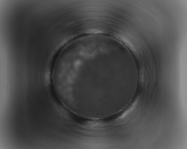 X0000093130351200710031356