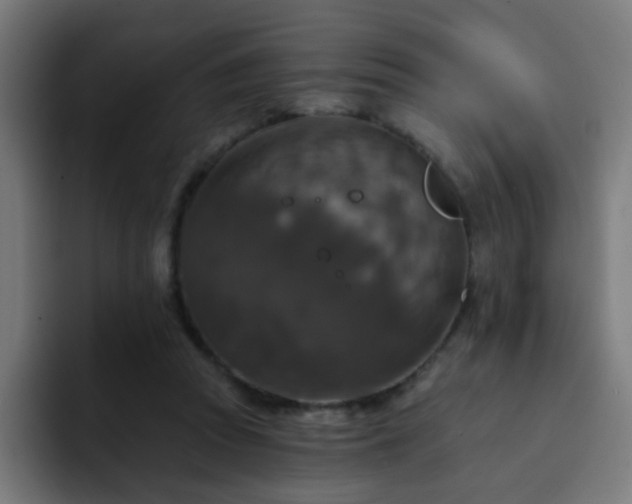 X0000093130353200710031356