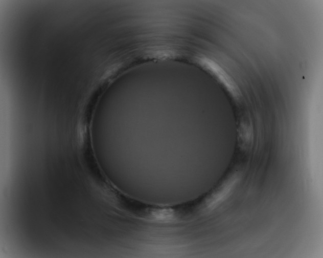 X0000093130355200710031356