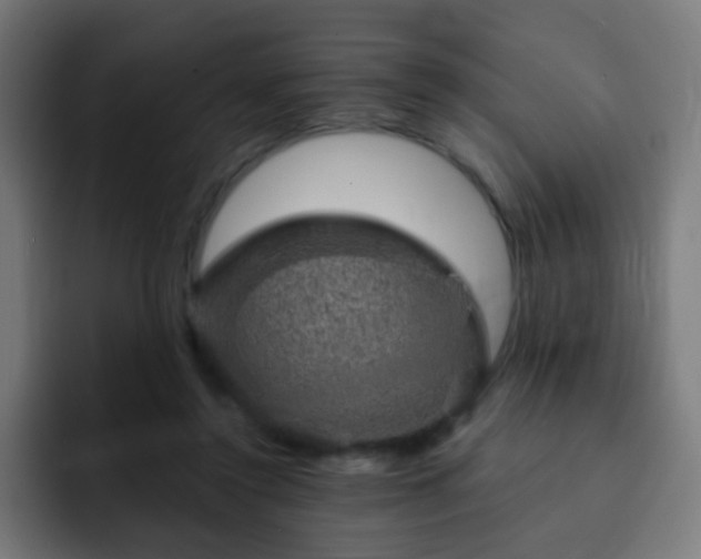 X0000093130356200710031356
