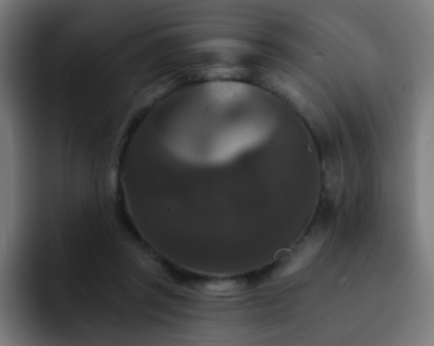 X0000093130357200710031356