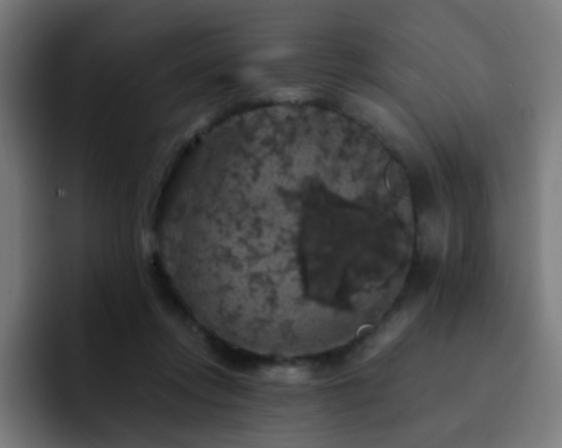 X0000093130358200710031356