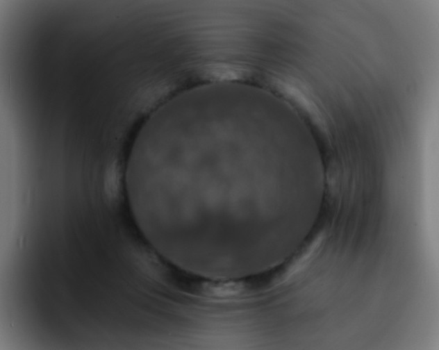 X0000093130359200710031356