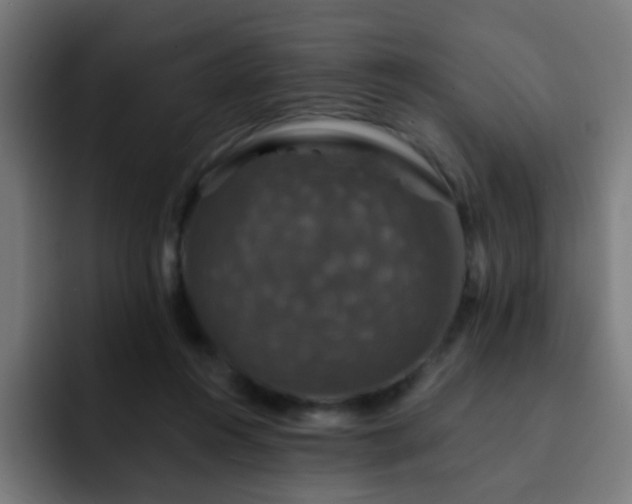 X0000093130360200710031356