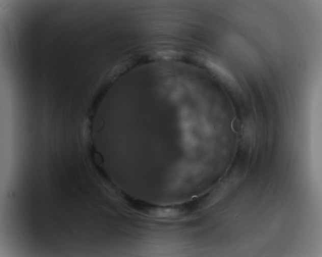 X0000093130361200710031356