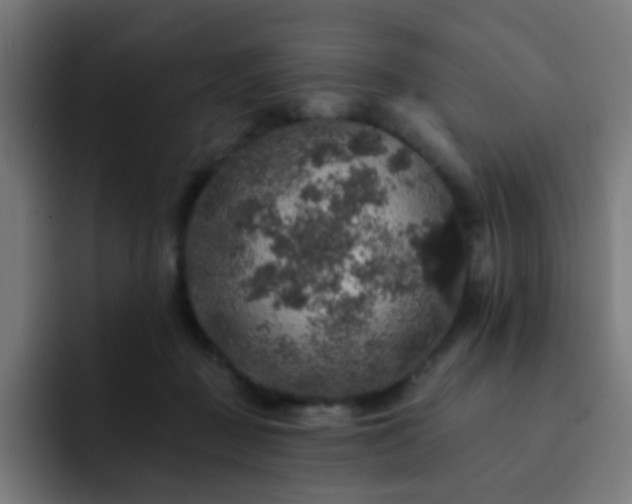 X0000093130363200710031356