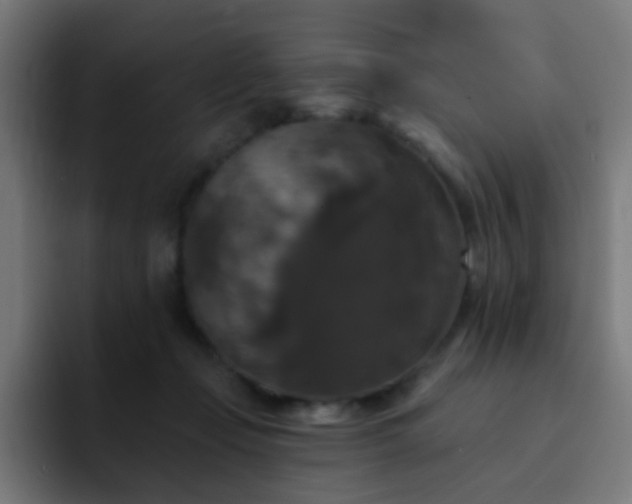 X0000093130365200710031356