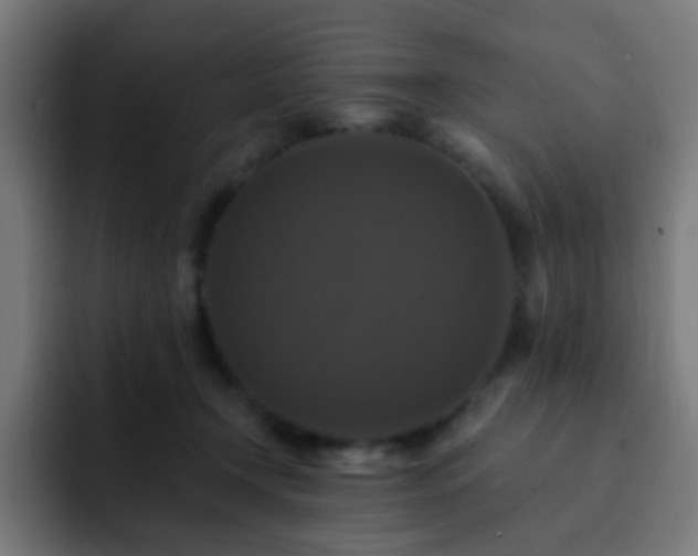 X0000093130366200710031356