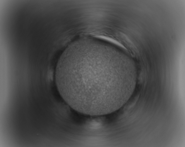 X0000093130368200710031356