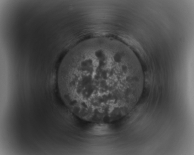 X0000093130369200710031356
