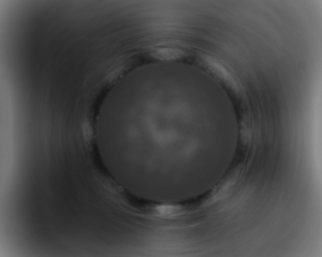 X0000093130371200710031356