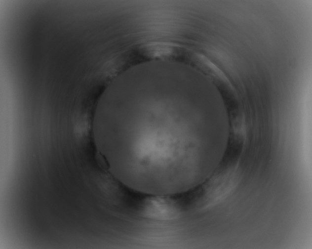 X0000093130372200710031356