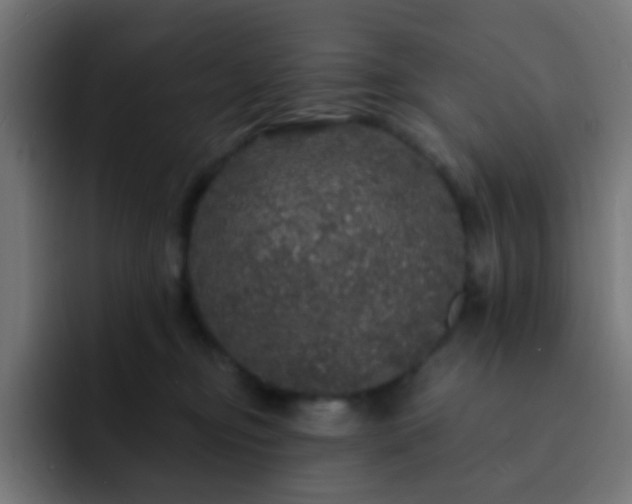 X0000093130374200710031356