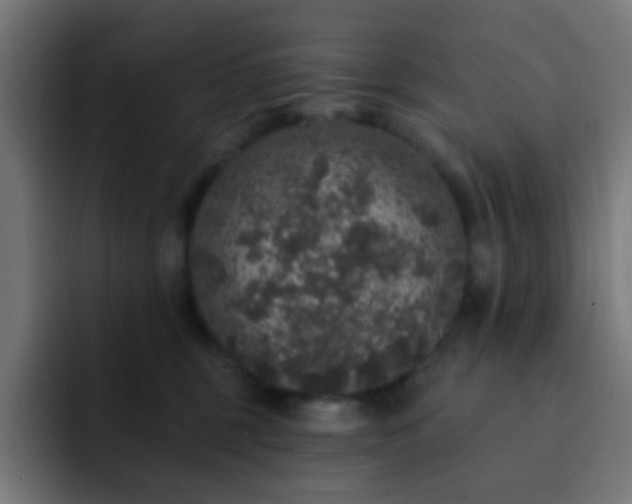 X0000093130375200710031356