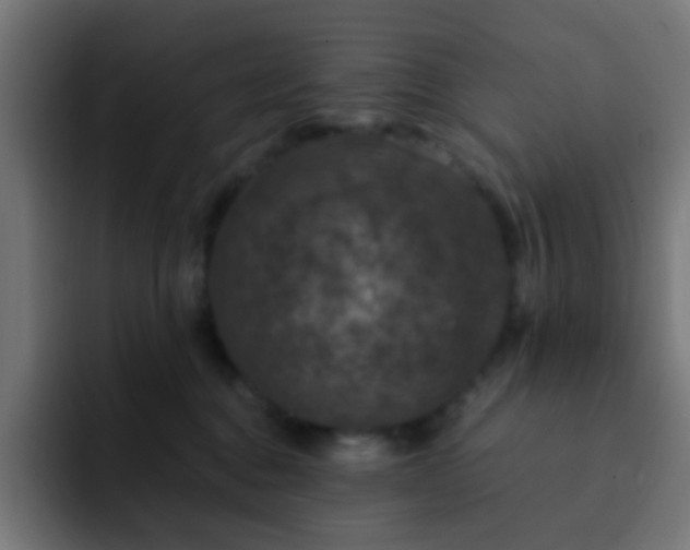 X0000093130376200710031356