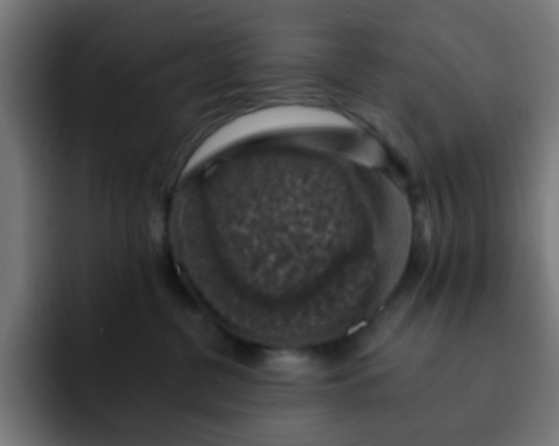 X0000093130380200710031356
