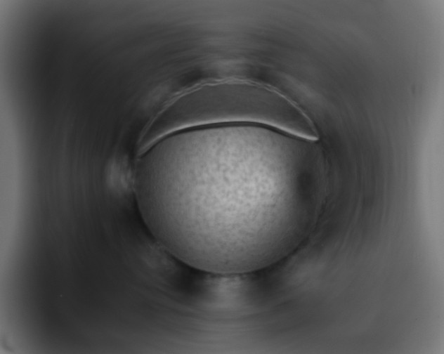X0000093130384200710031356