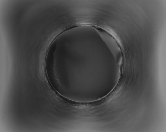 X0000093130385200710031356