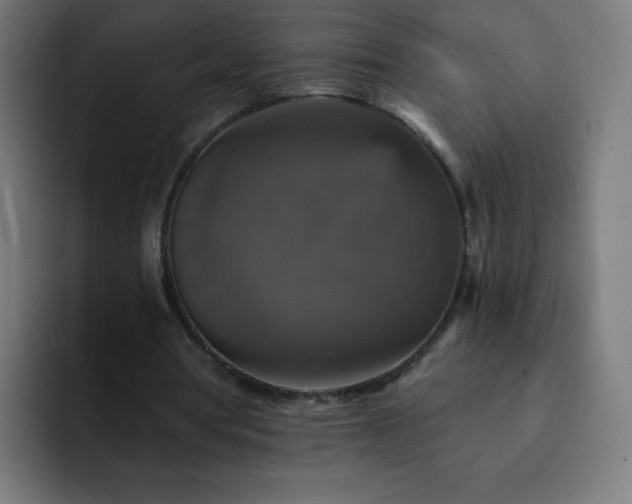 X0000093130386200710031356