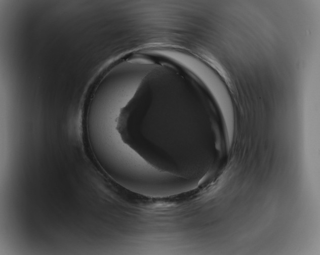 X0000093130387200710031356
