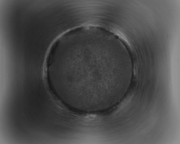 X0000093130388200710031356