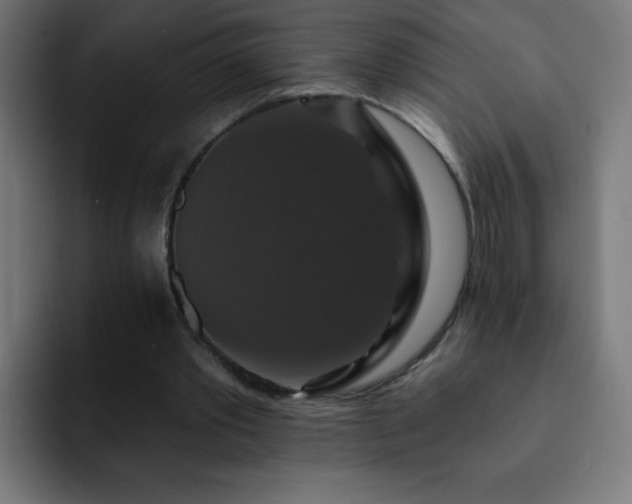 X0000093130389200710031356
